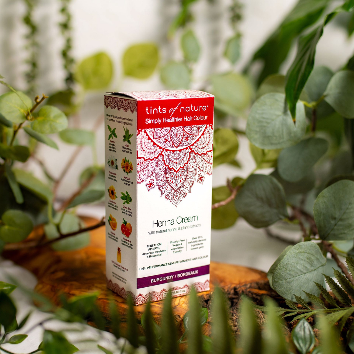 Pureday A Tints of Nature Henna Cream Burgundy hårfarve i- 70 ml står omgivet af frodigt grønt løv på en træoverflade. Æsken har indviklede henna-designs og farveprøver, hvilket understreger dens førsteklasses kvalitet.